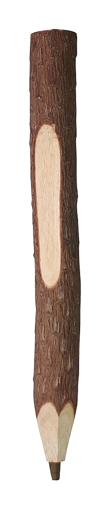 Ast